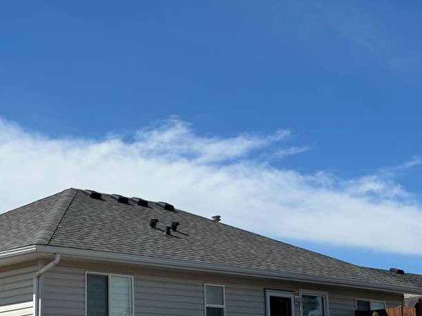 Best Gutter Installation and Repair  in Gowanda, NY